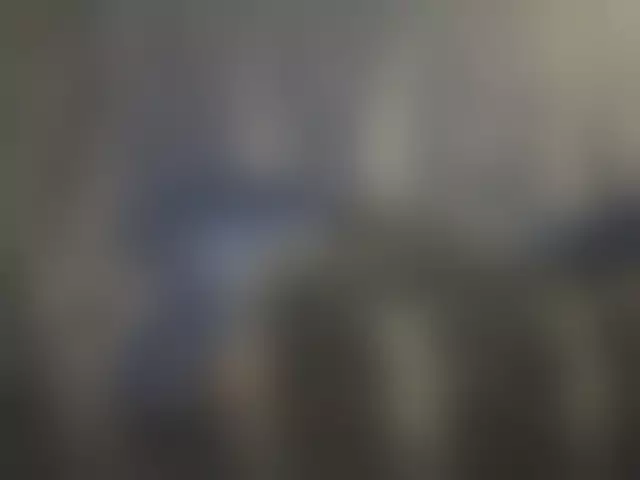 VIN под ветровым стеклом