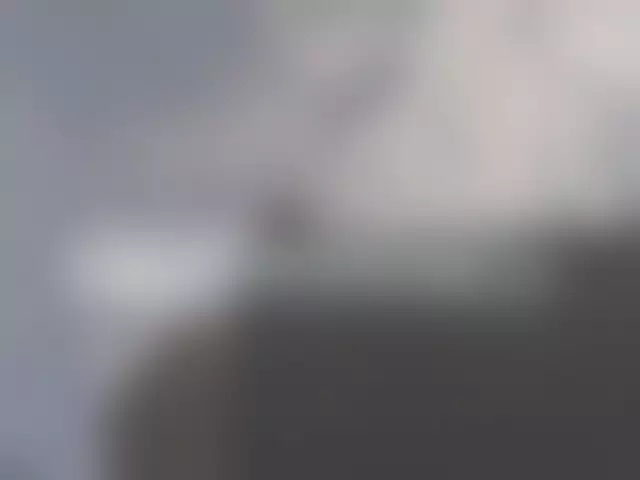 VIN под ветровым стеклом