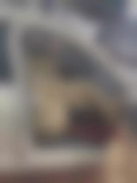 VIN на кузове