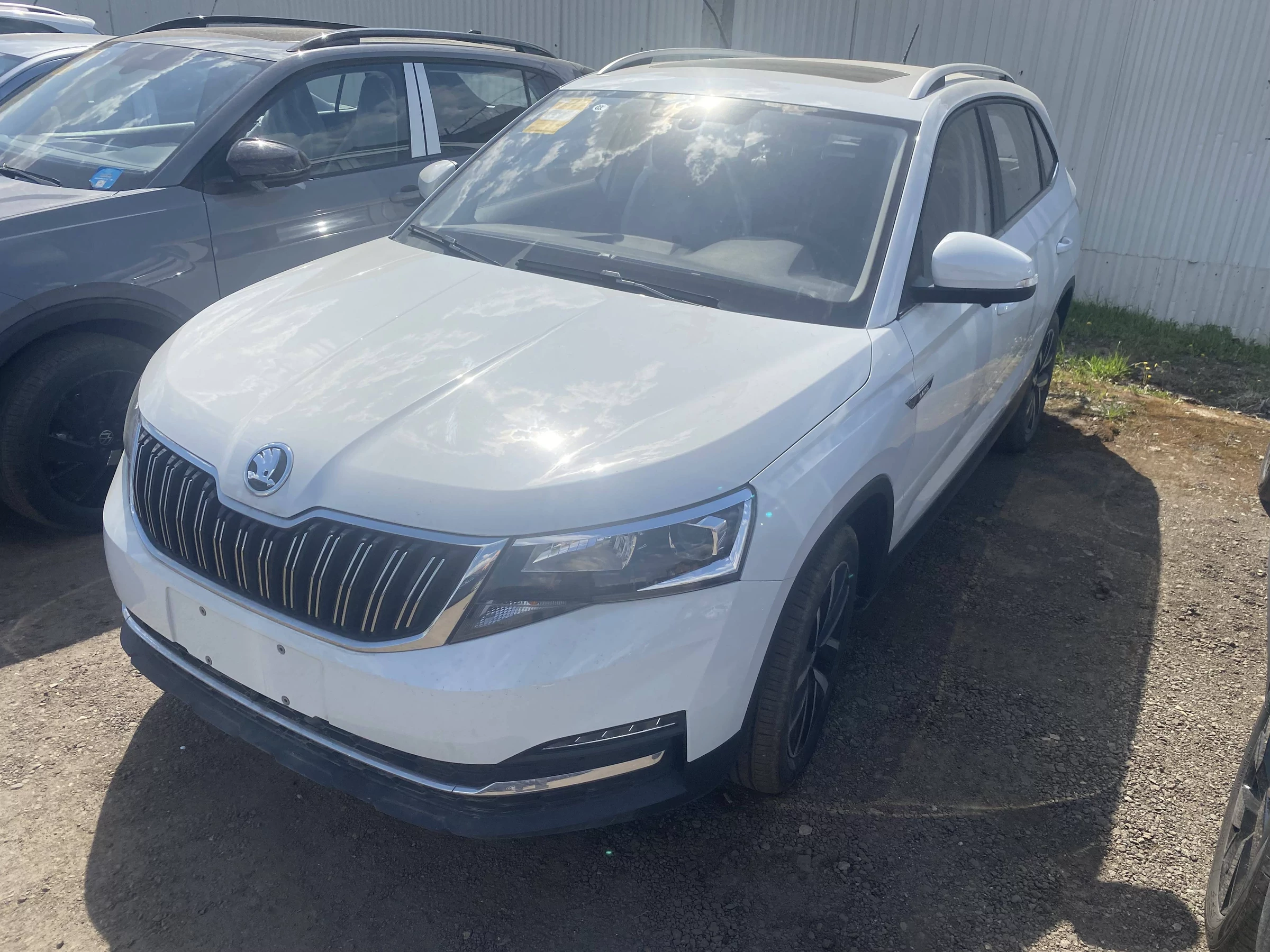 Внешний вид автомобиля — SKODA Kamiq