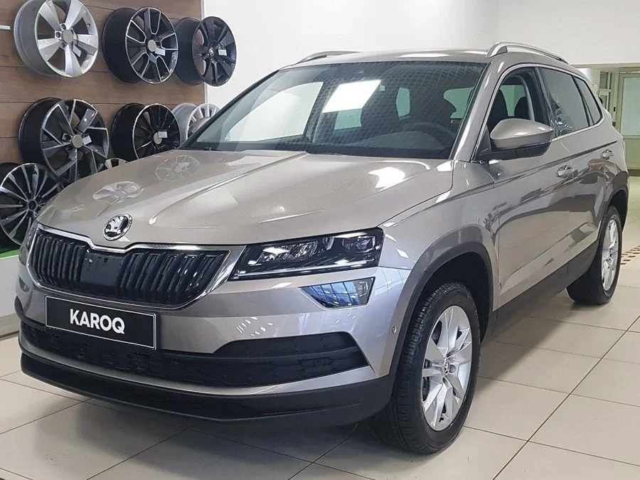 Внешний вид автомобиля — SKODA KAROQ