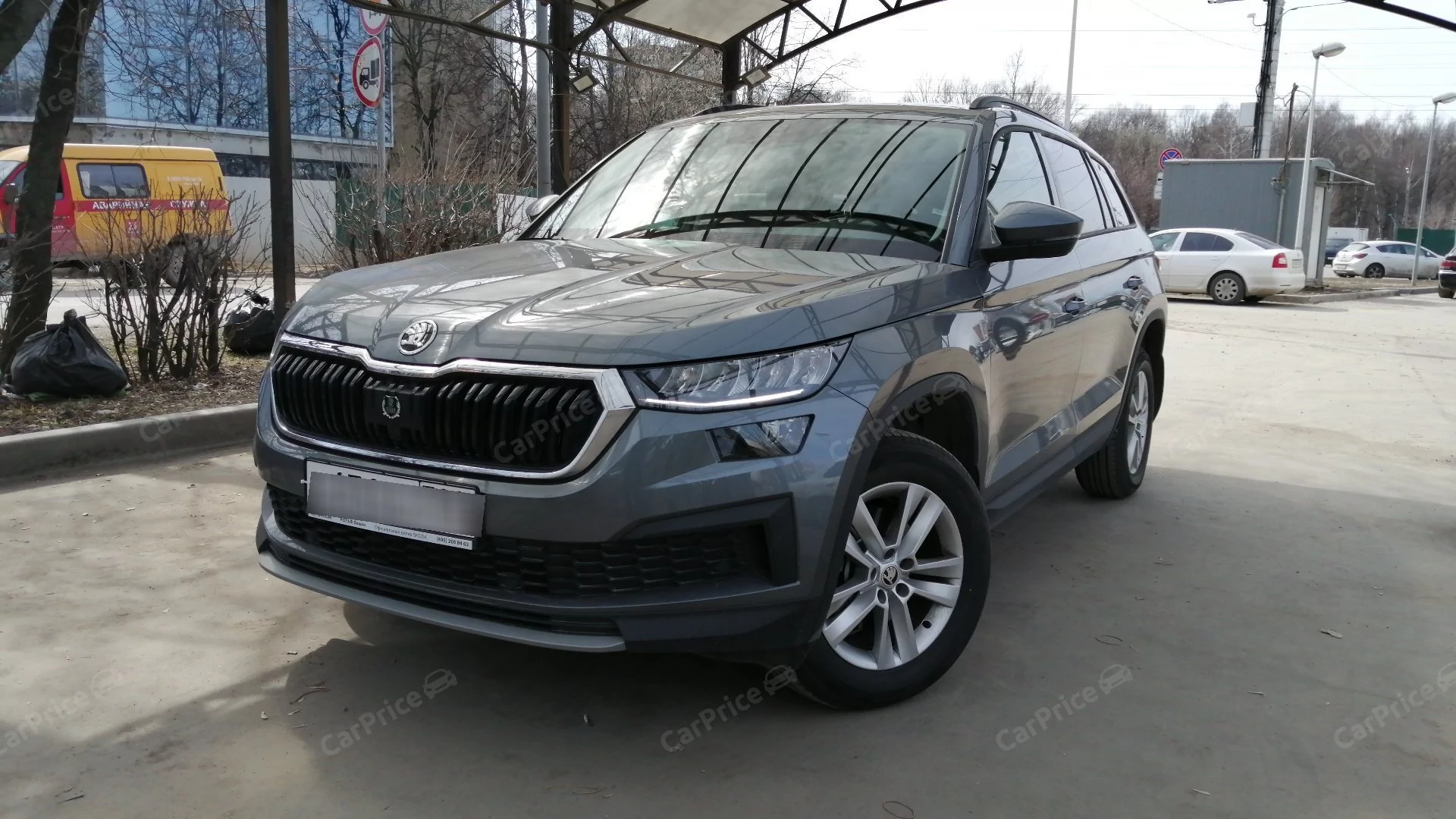 Внешний вид автомобиля — SKODA KODIAQ
