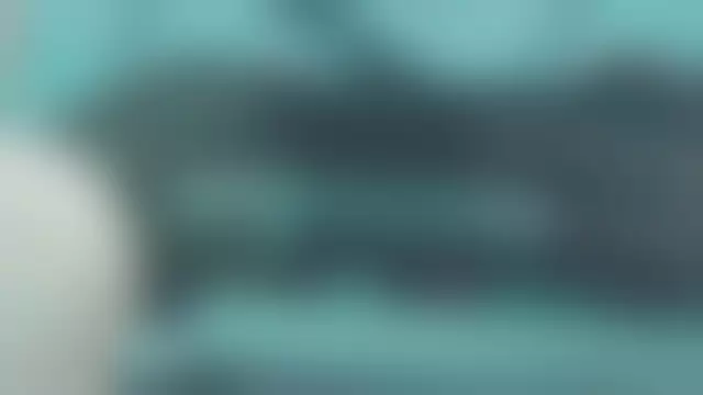 VIN под ветровым стеклом