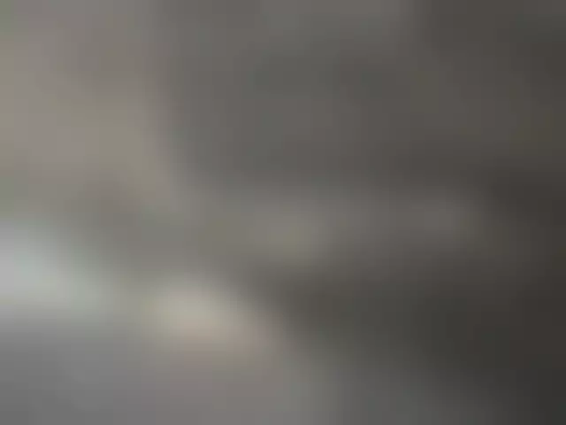 VIN под ветровым стеклом