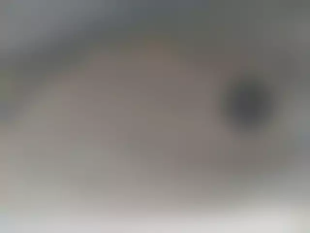 VIN на кузове