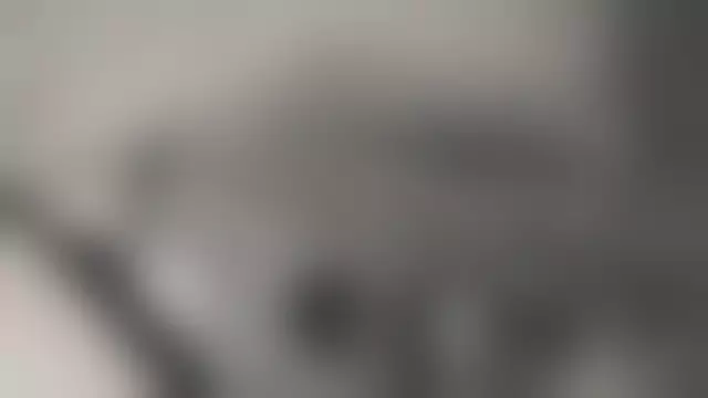 VIN на кузове