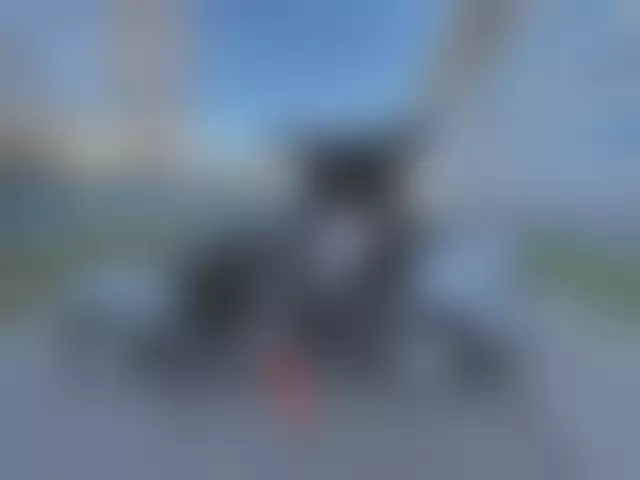 Заводская табличка производителя