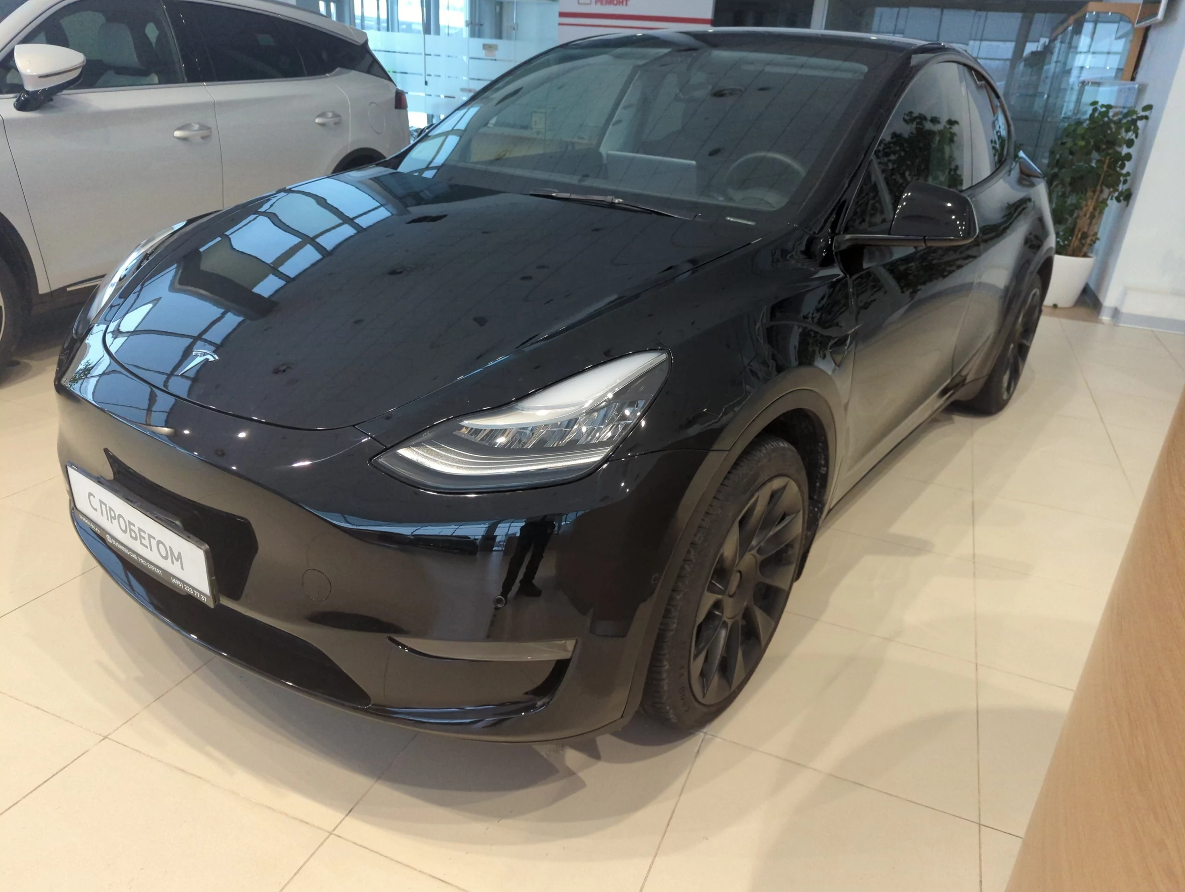 Внешний вид автомобиля — TESLA MODEL Y