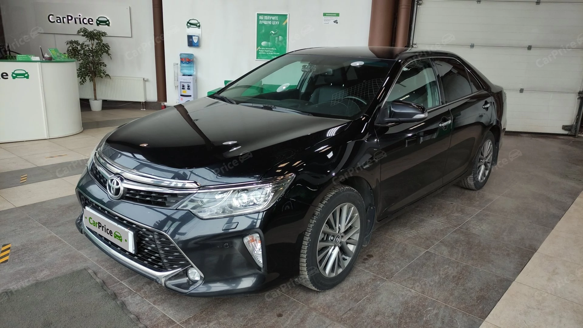 Внешний вид автомобиля — TOYOTA CAMRY