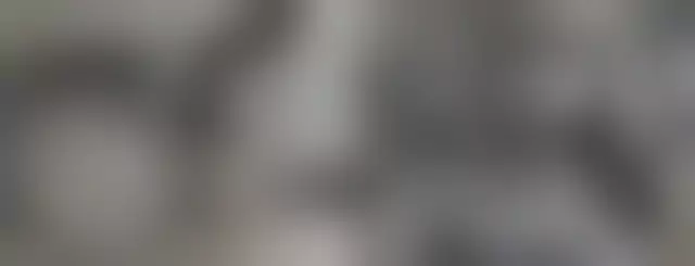 VIN на кузове