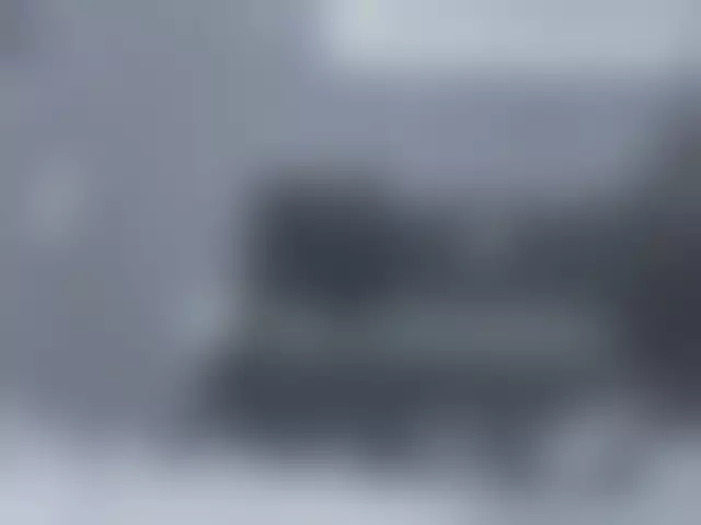 VIN под ветровым стеклом