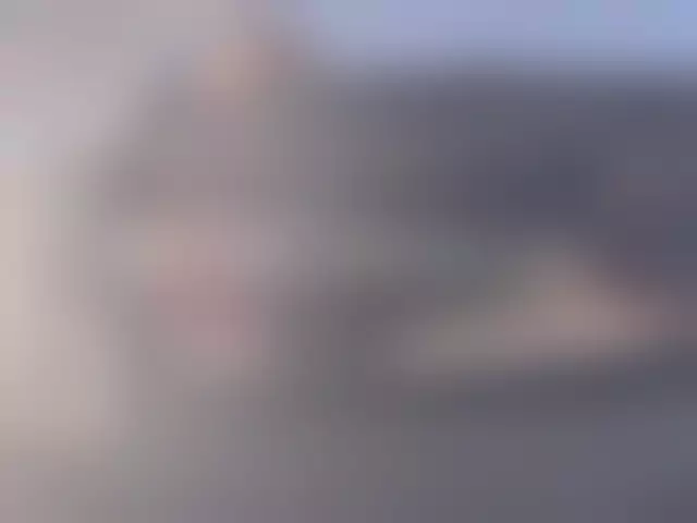 VIN под ветровым стеклом