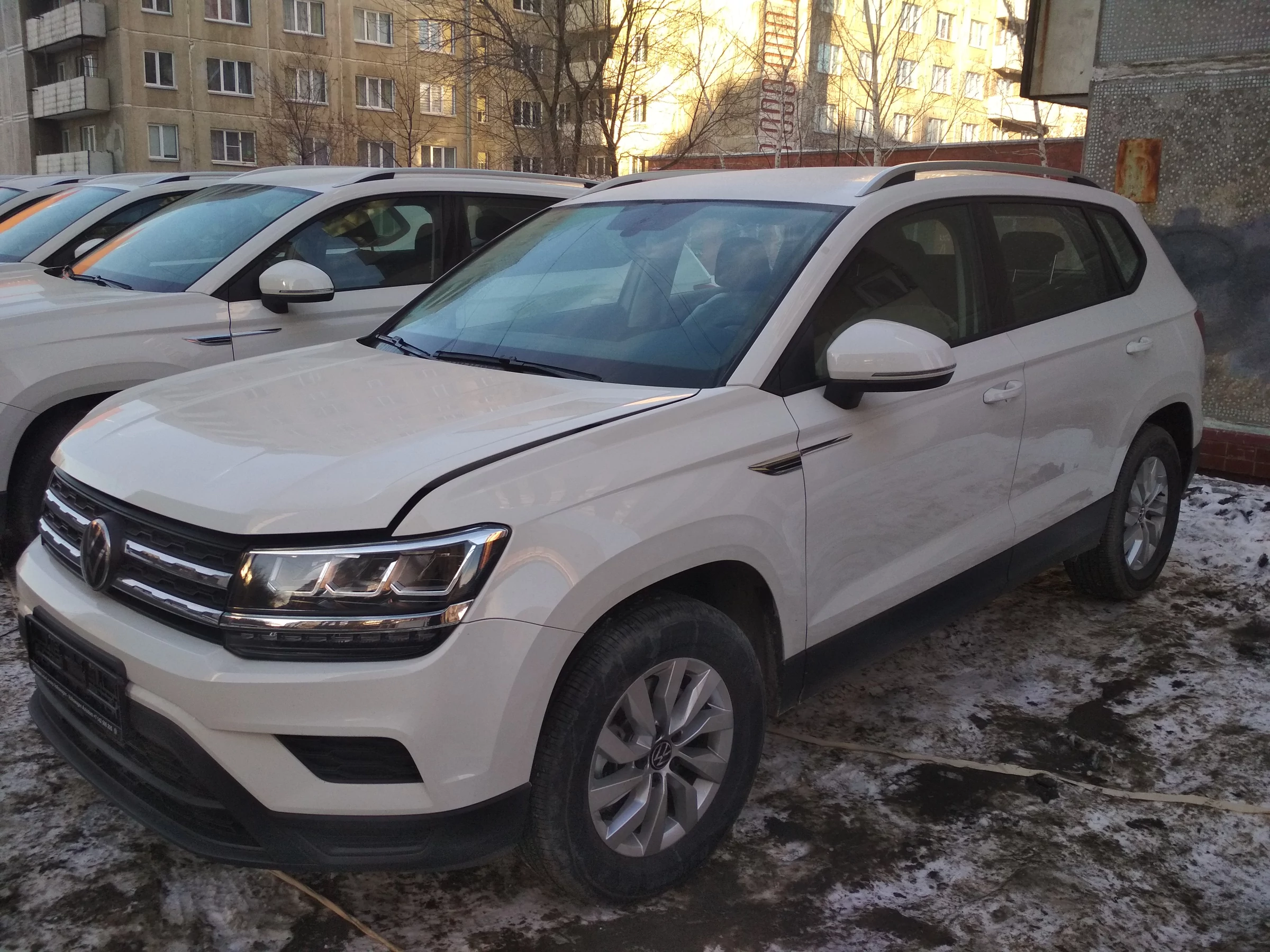 Внешний вид автомобиля — VOLKSWAGEN THARU