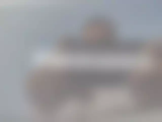 VIN под ветровым стеклом